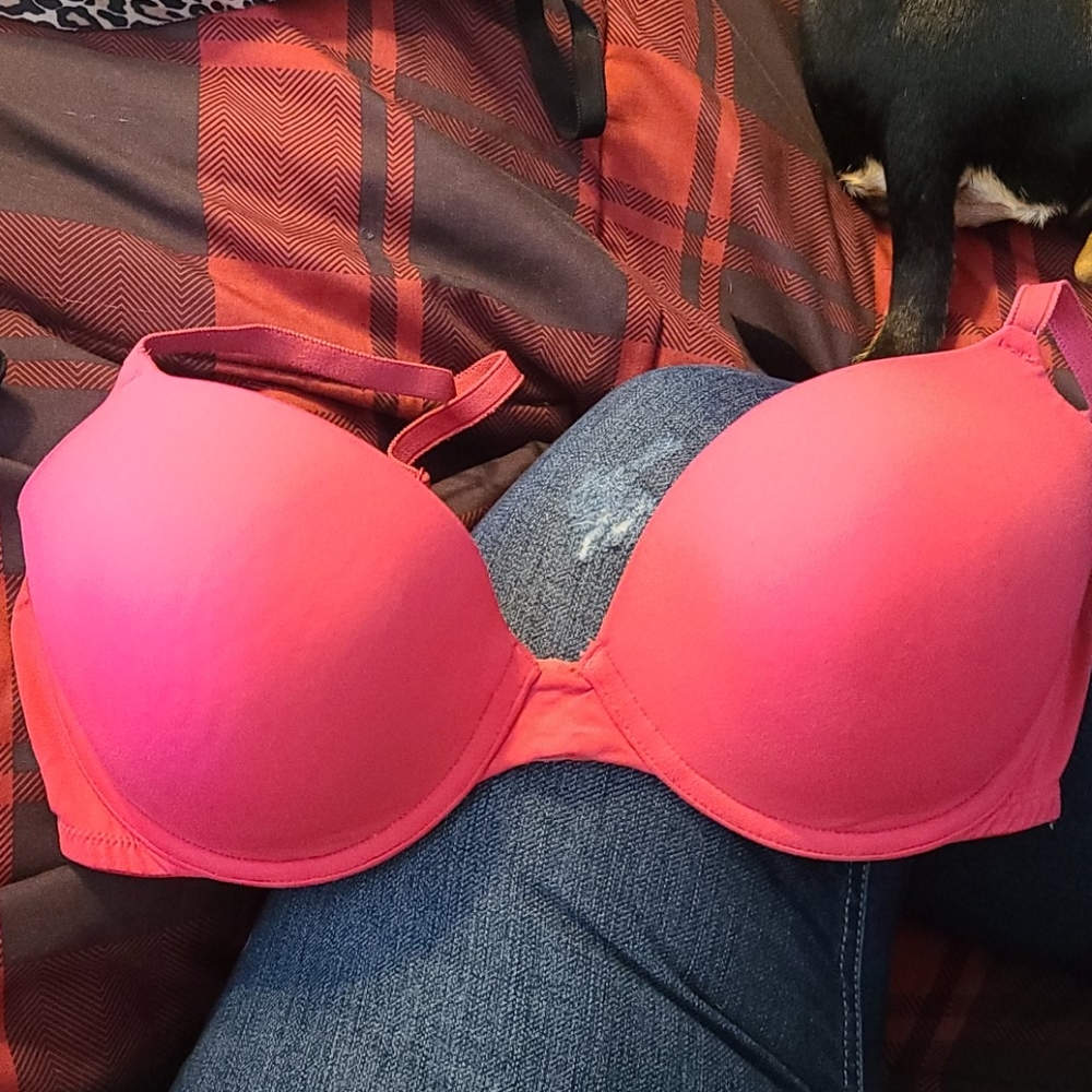 Women's bra